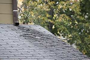 Roof Repair Specialists